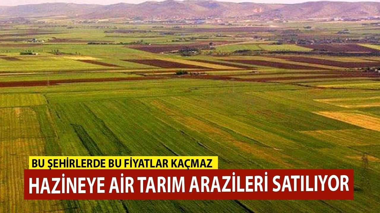 Hazineye Ait Tarım Arazileri Satışa Çıkarıldı! Bu Şehirlerde Bu Fiyatlar Kaçmaz