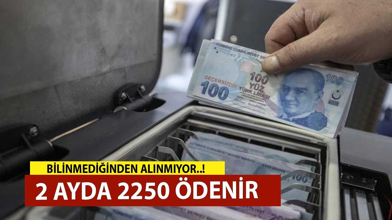 2 Ayda 2250 TL Ödenir! Bilinmediğinden Alınmayan Devlet Yardımı