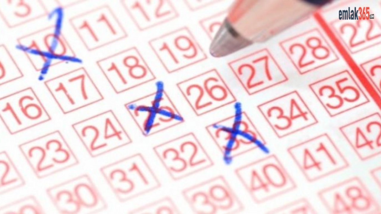 Lotonun Formülünü Çözen Matematikçi Loto Tahmin Programı İle 7 Kez Büyük İkramiye Kazandı