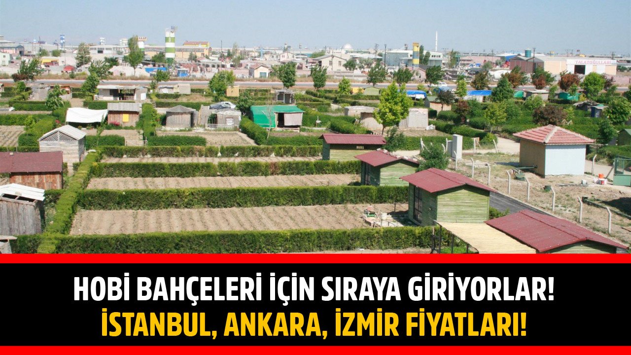 Hobi Bahçeleri İçin Sıraya Giriyorlar! İstanbul, Ankara Ve İzmir Fiyatları!