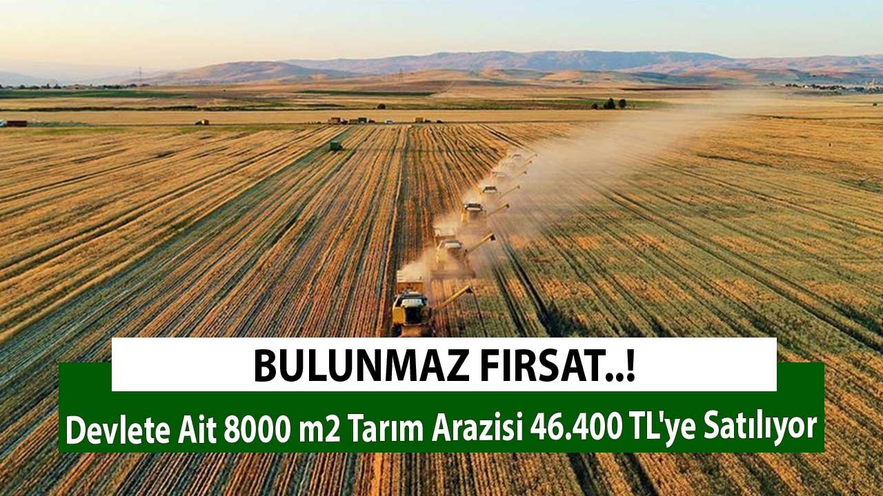 Bulunmaz Fırsat! Devlete Ait 8000 m2 Tarım Arazisi 46.400 TL'ye Satılıyor