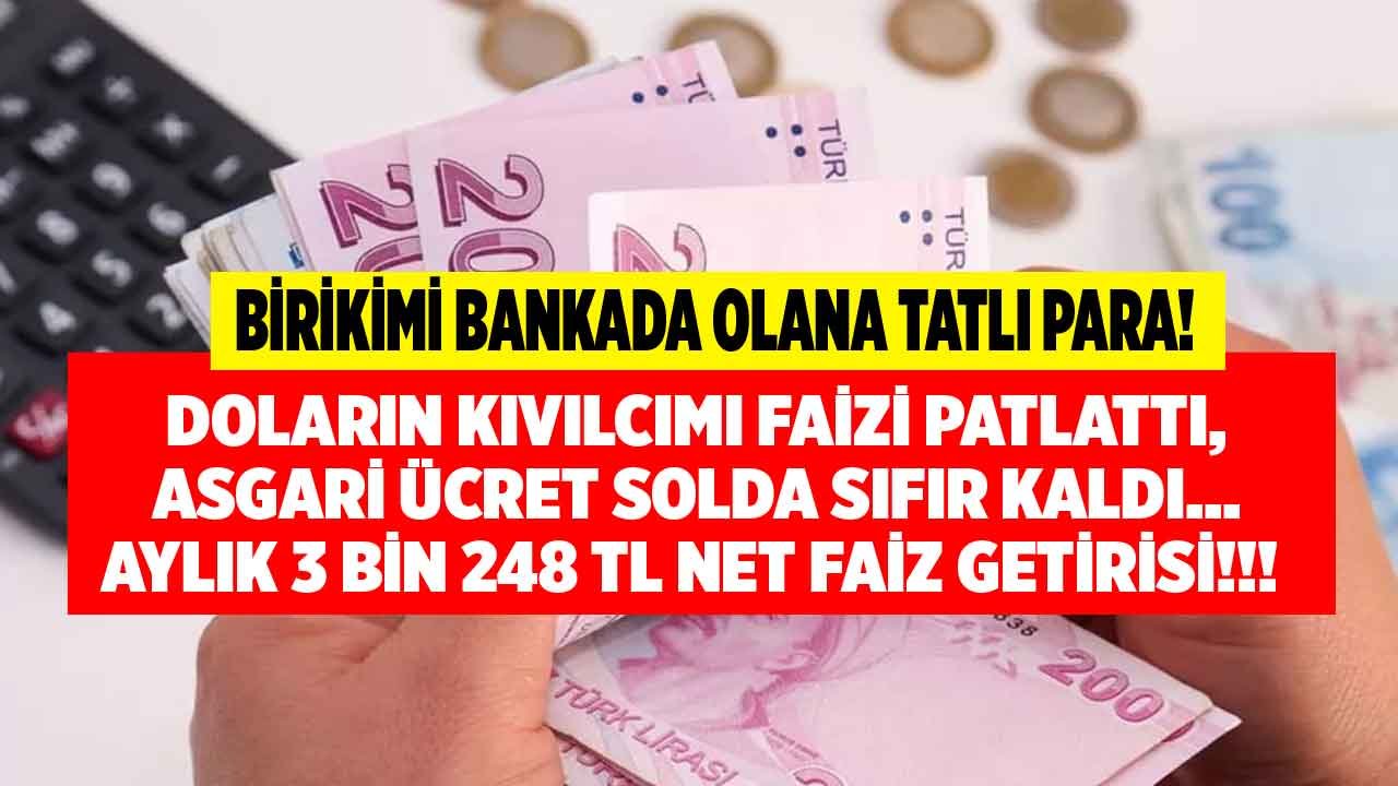Birikimi Bankada Olana Tatlı Para! Doların Kıvılcımı Faizi Patlattı, 32 Günlük Vadeli Mevduat Faizi Zirveye Fırladı