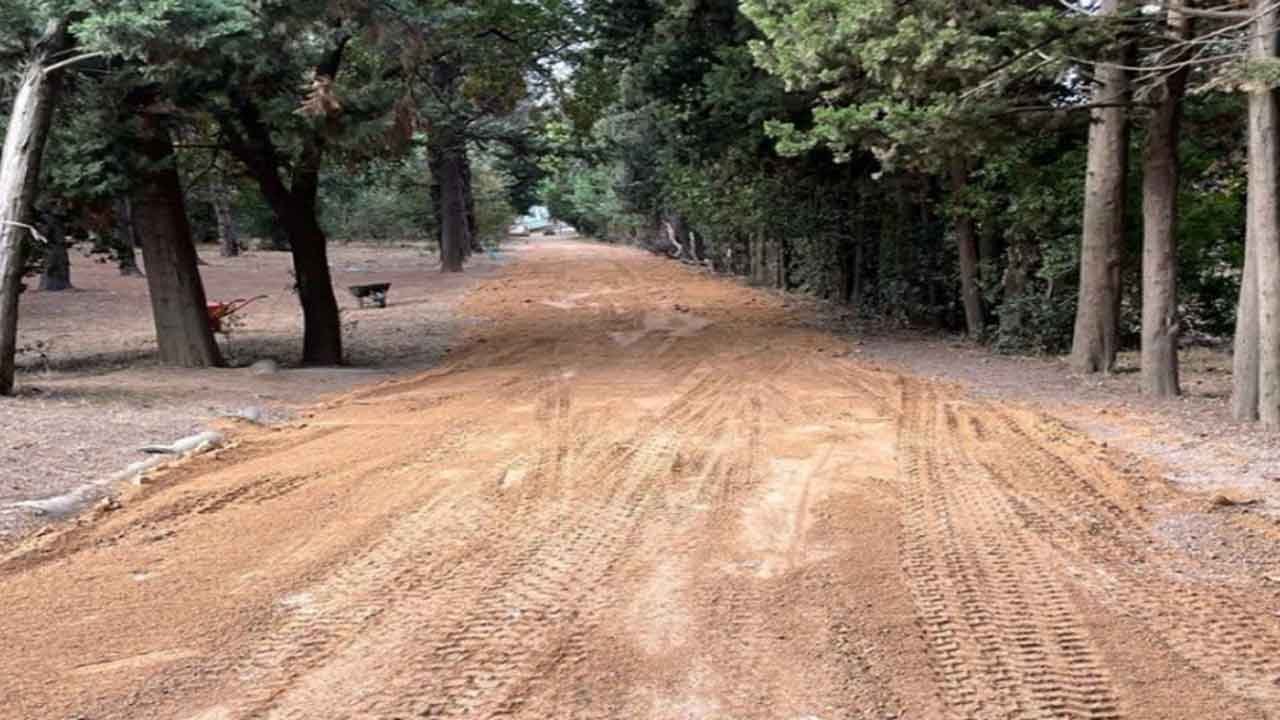 Üsküdar Belediyesi'nden Validebağ Korusu Açıklaması Geldi!