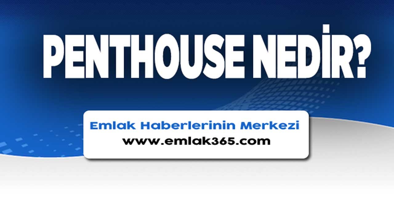 Penthouse Nedir, Ne Demek?