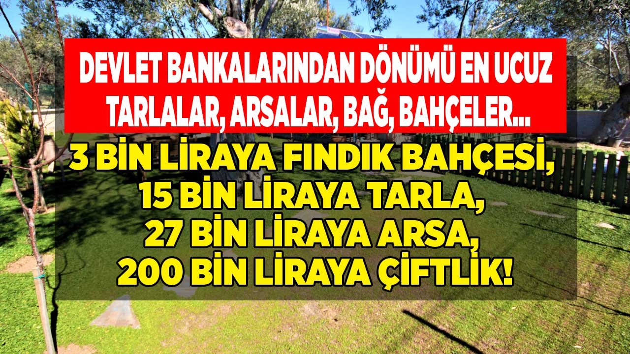 Devlet Bankalarından Dönümü En Ucuz Tarlalar, Arsalar! Ziraat Bankası, Halkbank, Vakıfbank Satılık Bağ, Bahçe, Arsa