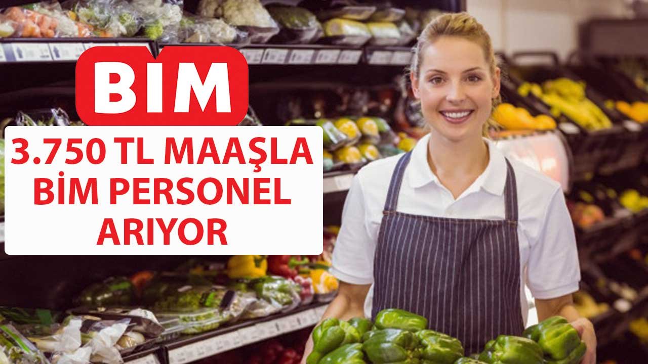 3.750 TL Maaşla BİM Personel Arıyor! Kasa, Reyon, Market Elemanı Alınacak