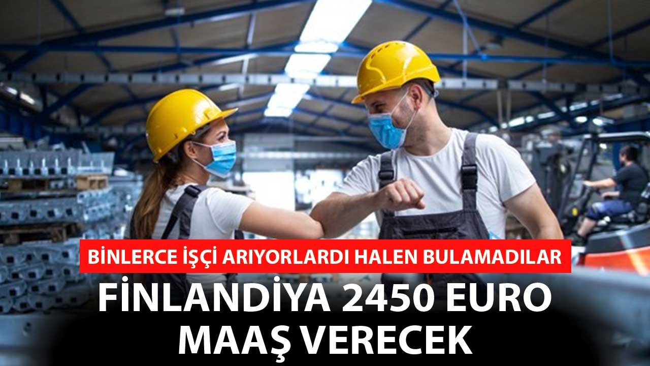 Binlerce İşçi Arıyorlardı Halen Bulamadılar! Finlandiya 2450 Euro Aylık Maaş Verecek