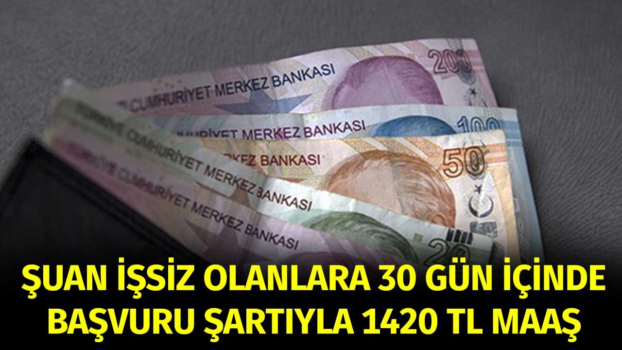 Şuan İşsiz Olanlara 30 Gün İçinde Başvuru Şartıyla 1420 Maaş! 10 Aya Kadar Ödenecek