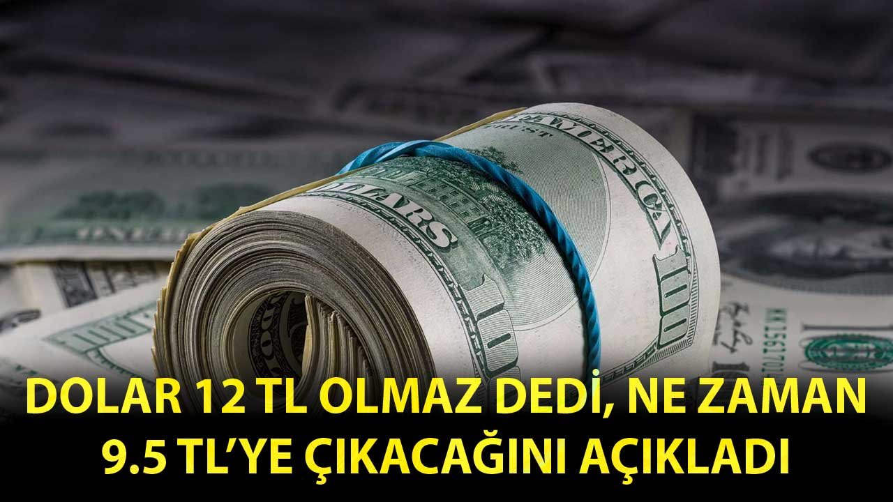 Dolar 12 TL Olmaz Dedi! Ne Zaman 9.5 TL'ye Çıkacağını Açıkladı