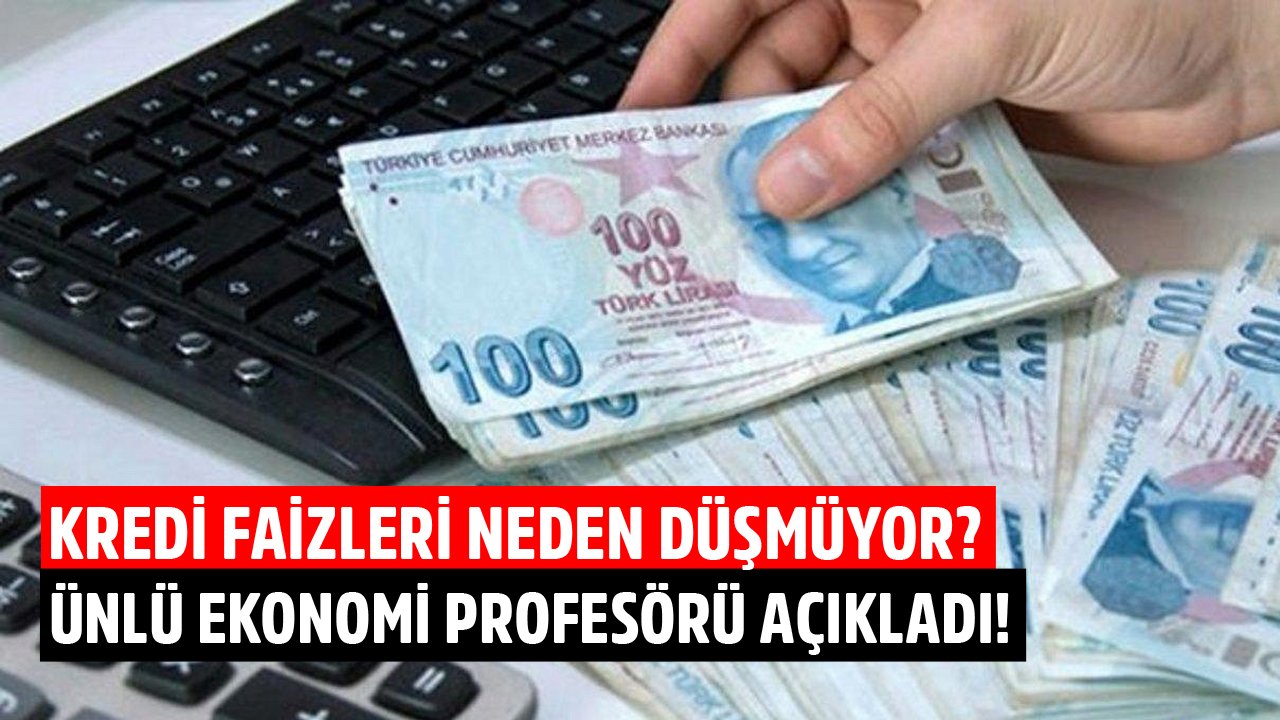 Mevduat Faizleri Düşerken Kredi Faizleri Neden Düşmüyor? Ünlü Ekonomist Prof. Dr. Emre Alkin  Açıkladı!