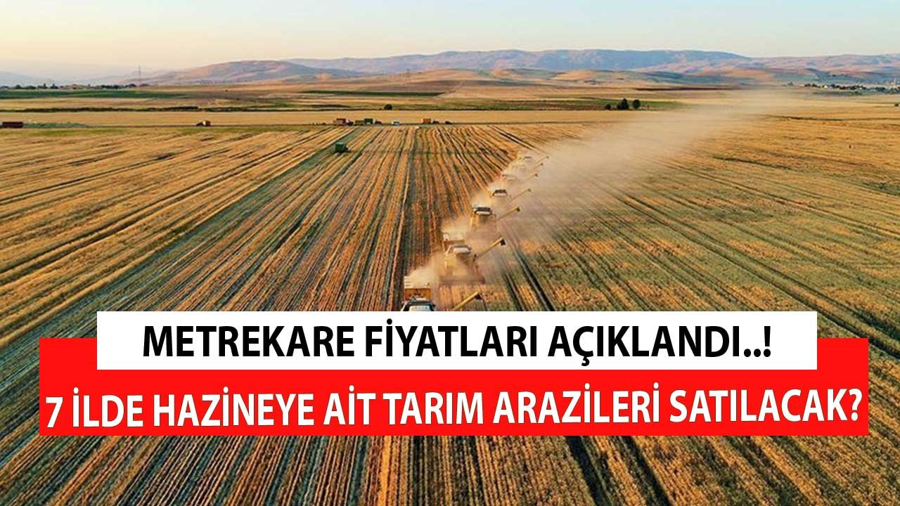 7 Şehirde Hazineye Ait Tarım Arazileri Satılacak! Metrekare Fiyatları Açıklandı