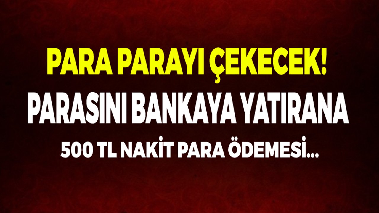 Türkiye'de Bir İlk! 32 Günlük Vadeli Mevduat Hesabı Açanlara 500 TL Nakit Para İadesi
