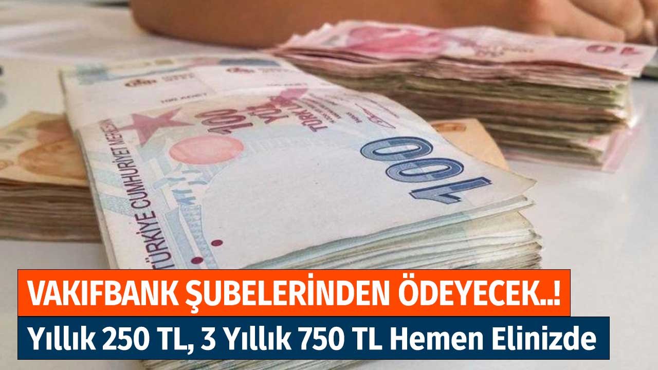 Vakıfbank Şubelerden Ödeyecek! Yıllık 250 TL, 3 Yıllık 750 TL Hemen Elinizde