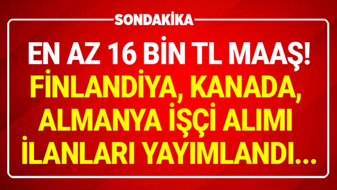 Kanada, Finlandiya, Almanya İşçi Alımı 2021! En Az 16 Bin TL Maaşla Yurtdışı İş İlanları Vasıfsız