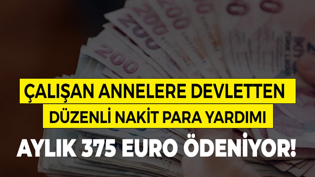 Çalışan Annelere Aylık 375 Euro Devlet Yardımı!