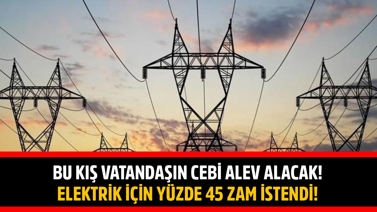 Bu Kış Vatandaşın Cebi Alev Alacak! Elektrik İçin Yüzde 45 Zam İstendi!