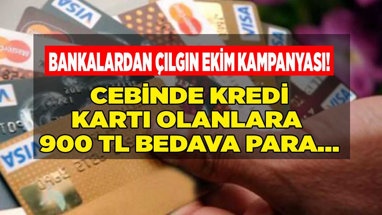 Bankalar Çıldırdı! Kredi Kartı Para Basacak, Kart AIan 900 TL Bedava Hediye Chip Para Kazanacak