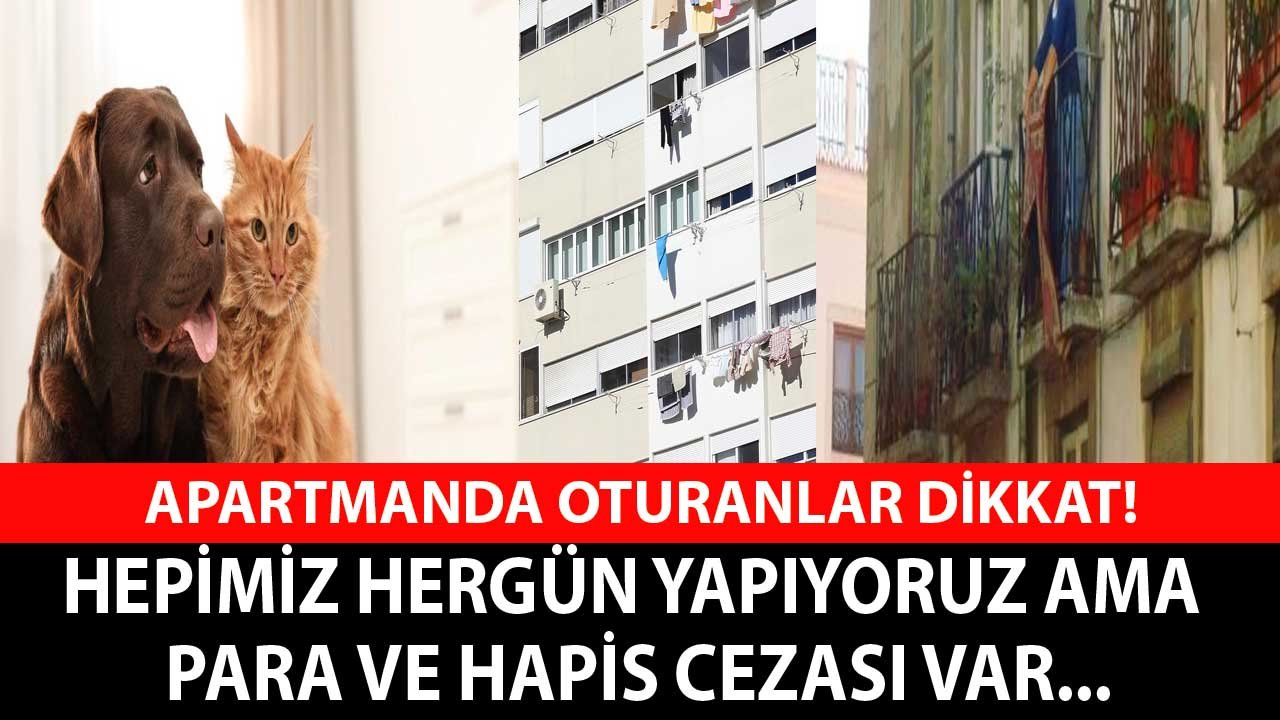 Apartmanlarda Yaşayanlar Dikkat! Hepimiz Hergün Yapıyoruz Ama Hapis ve Para Cezası Var