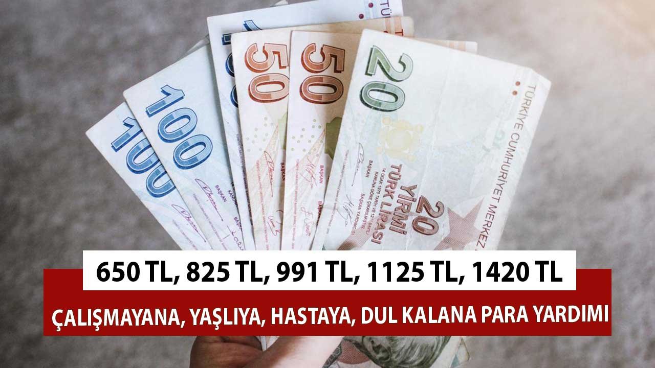 828 TL, 991 TL, 1125 TL, 1420 TL Para Yardımı! Çalışmayana, Hastaya, Yaşlıya, Dul Kalana Düzenli Yatırılacak