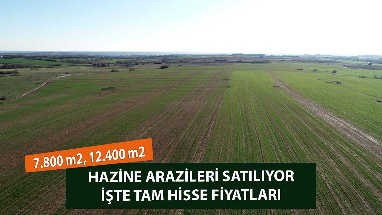 7.800 m2, 12.200 m2 Boş İşgalsiz Hazineye Ait Tarlalar Satılacak! İşte Tam Hisse Fiyatları