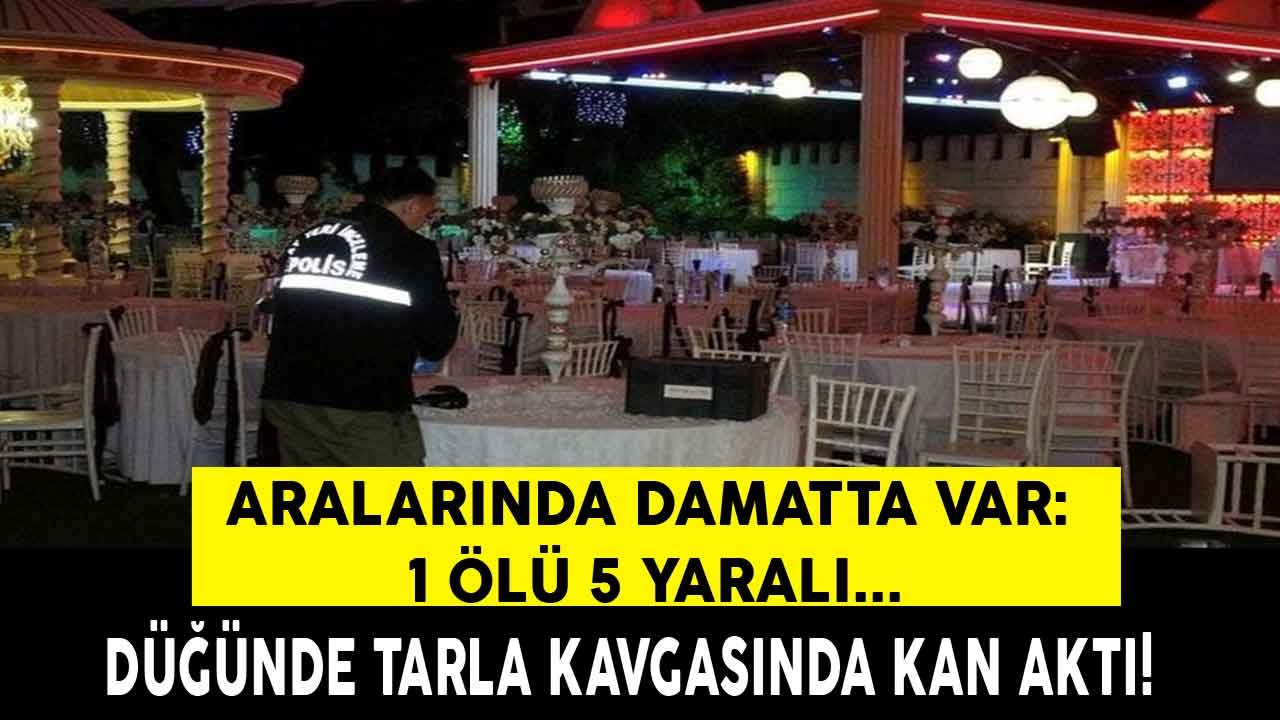 Düğünde Tarla Kavgası, Aralarında Damatta Var! 1 Ölü 5 Yaralı