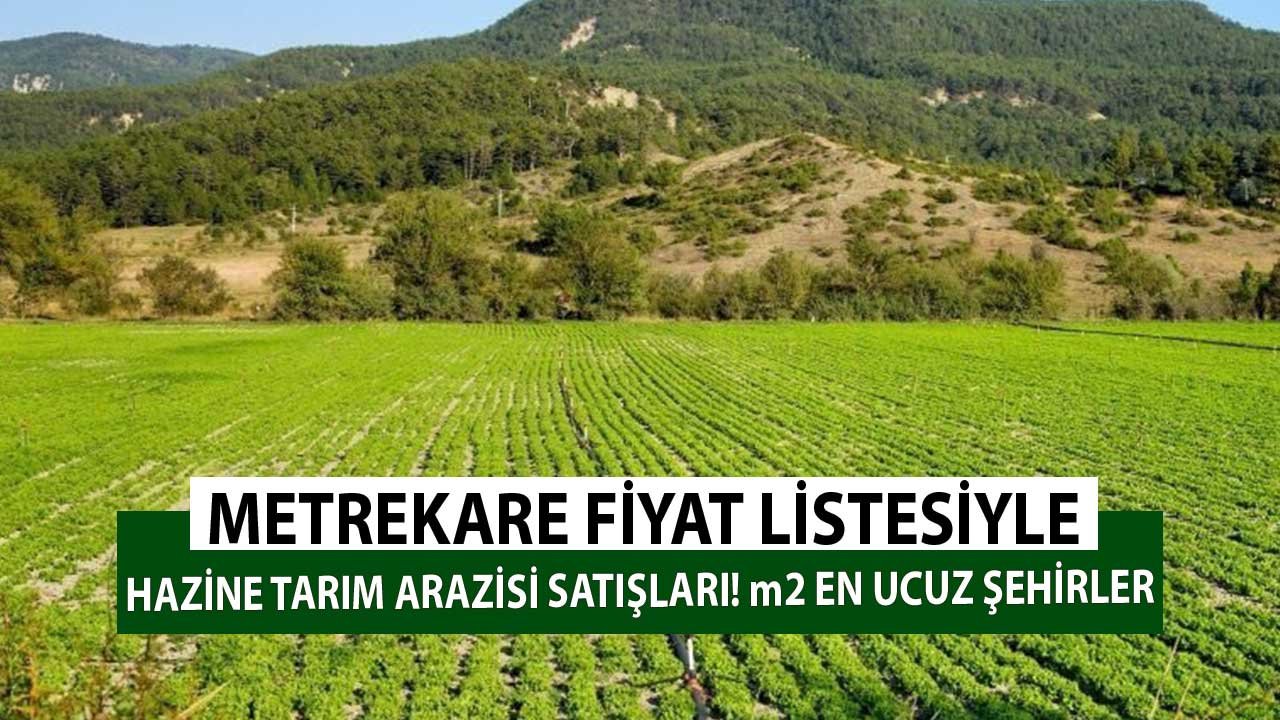 Metrekare Fiyat Listesiyle Hazine Tarım Arazisi Satışları! m2 En Ucuz Şehirler