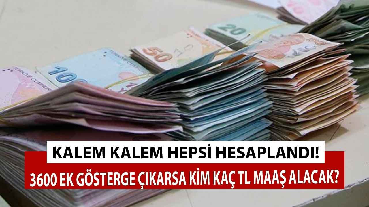 3600 Ek Gösterge Kimlere Verilecek, Çıkarsa Maaşlara Etkisi Ne Olur, Kaç TL Olacak?