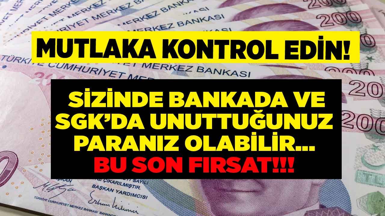 Tek Tıkla Anında Kontrol Edin! SGK'da ve Bankada Unutulan Kalan Para ve Şahıs Ödemeleri Milyonlara Ulaştı