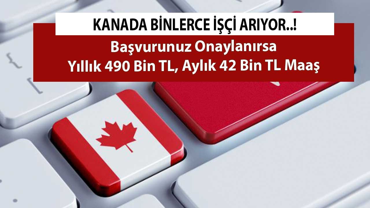 Kanada Binlerce İşçi Arıyor! Başvurunuz Onaylanırsa Yıllık 490 Bin TL, Aylık 42 Bin TL Maaş İşte Aranan O Meslekler