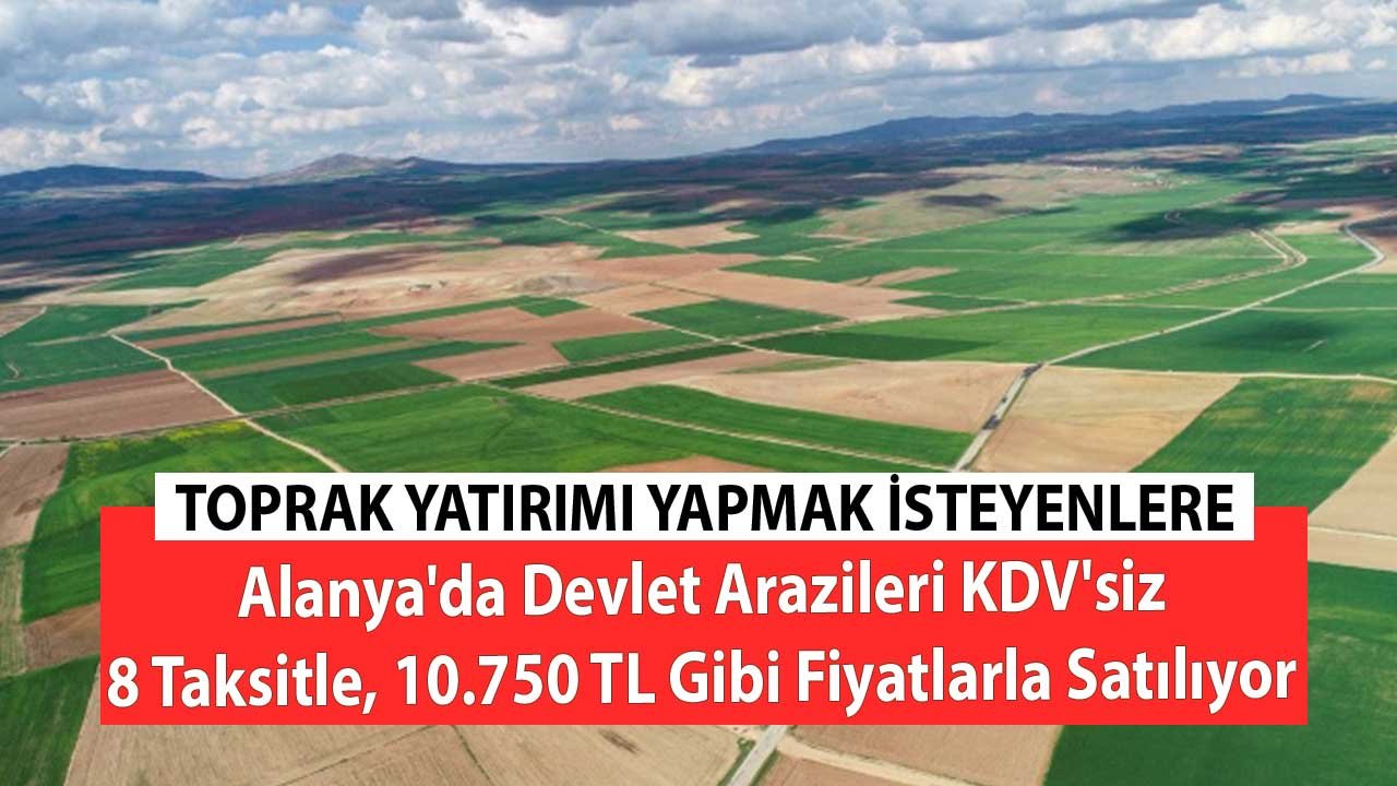 Toprak Yatırımı Yapmak İsteyenlere! Alanya'da Devlet Arazileri KDV'siz, 8 Taksitle, 10.750 TL Gibi Fiyatlarla Satılıyor