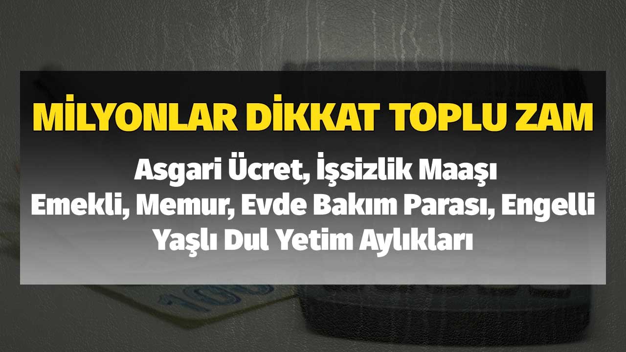 Milyonlar Dikkat Toplu Zam! Asgari Ücret, İşsizlik Maaşı, Emekli, Evde Bakım Parası, Engelli, Yaşlı Dul Yetim Aylıkları