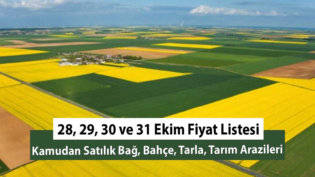 28, 29, 30 ve 31 Ekim Metrekare Fiyatları! Kamudan Satılık Bağ, Bahçe, Tarla, Tarım Arazisi