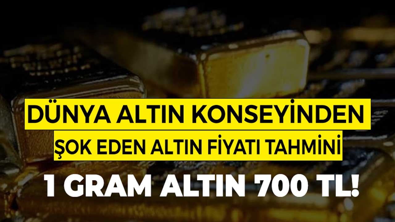 Dünya Altın Konseyi Yeni Raporu Yayımladı: Sarı Kız Altında Ralli Hazırlığında! 1 Gram Altın 700 TL Mi Olacak
