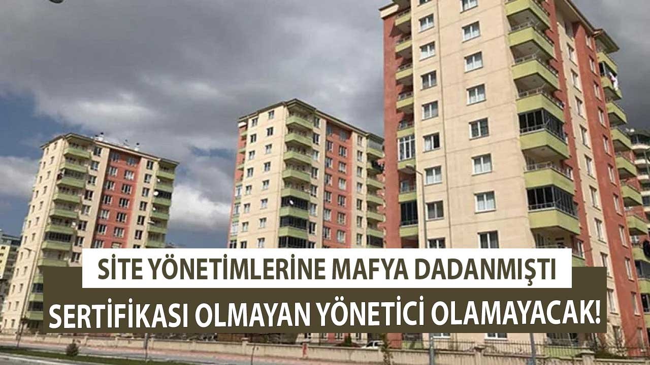 Sitelerde Mafya Oyununa Sertifika Engeli! Sertifikası Olmayan Yöneticilik Yapamayacak