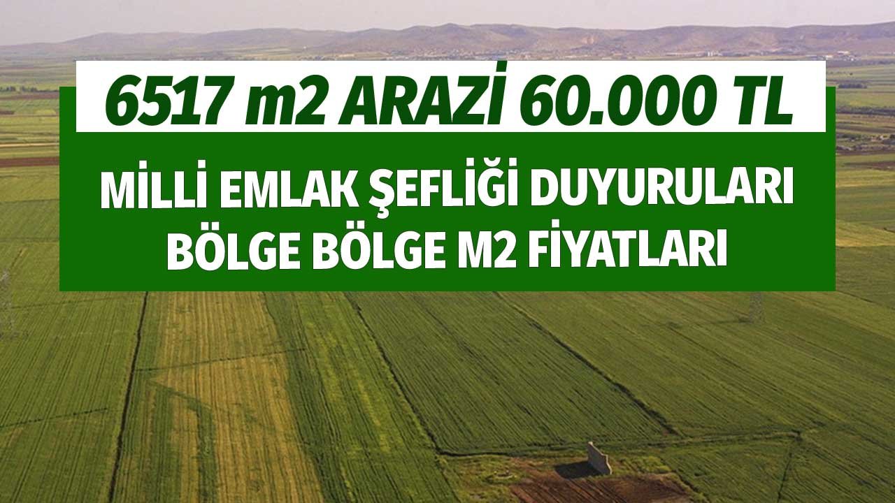 6517 m2 İmarsız Arazi 60.000 TL! Milli Emlak Şefliği Duyuruları Bölge Bölge m2 Fiyatları