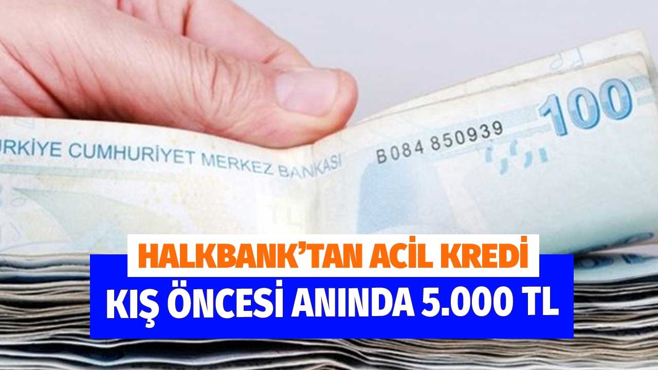 Halkbank'tan Kışa Öncesi Acil Kredi! 5.000 TL'yi Hemen Yatırıyor
