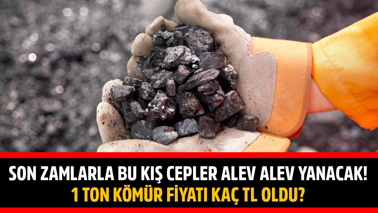 Son Zamlarla Beraber Vatandaşın Cebi Bu Kış Alev Alev Yanacak! 1 Ton Kömür Kaç TL Oldu?
