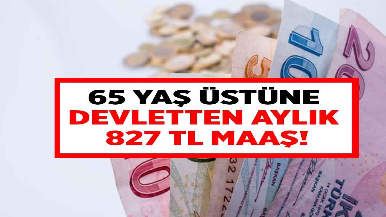 65 Yaş Üzerine Devletten 827 TL Maaş! Yaşlılık Aylığı Şartları Neler?