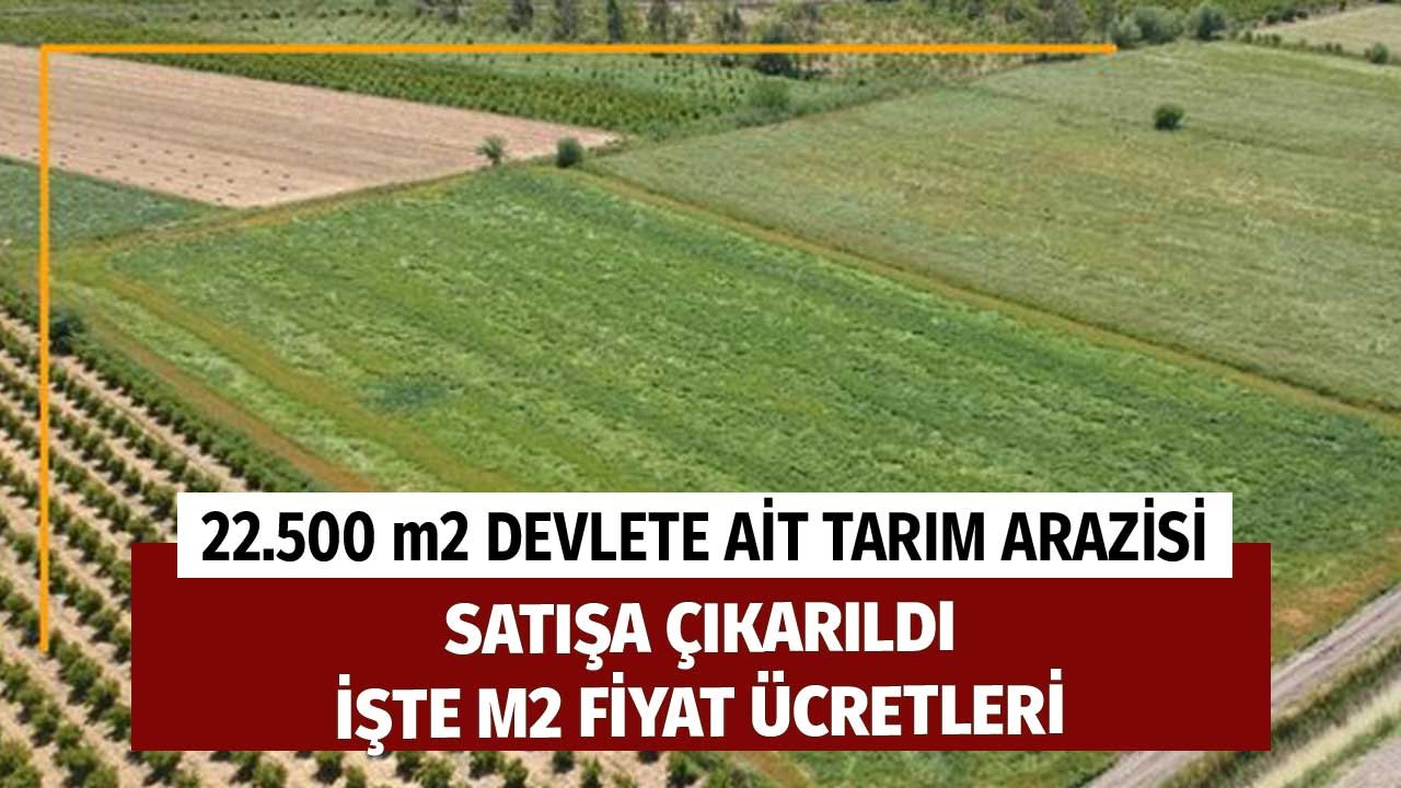 22.500 Metrekare Devlete Ait Tarım Arazisi Satışa Çıkarıldı! İşte m2 Ücreti