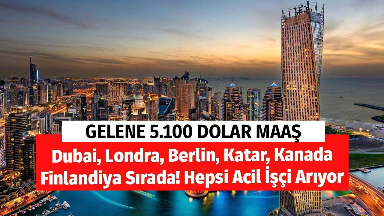 Gelene 5.100 Dolar Maaş! Dubai, Londra, Berlin, Katar, Kanada, Finlandiya Sırada! Hepsi Acil İşçi Arıyor