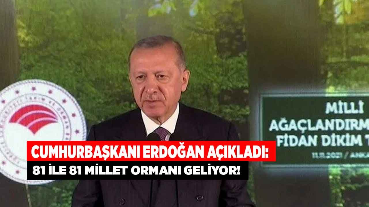 Cumhurbaşkanı Erdoğan’dan Millet Bahçesi Sonrasında 81 İle Millet Ormanı Müjdesi Geldi!