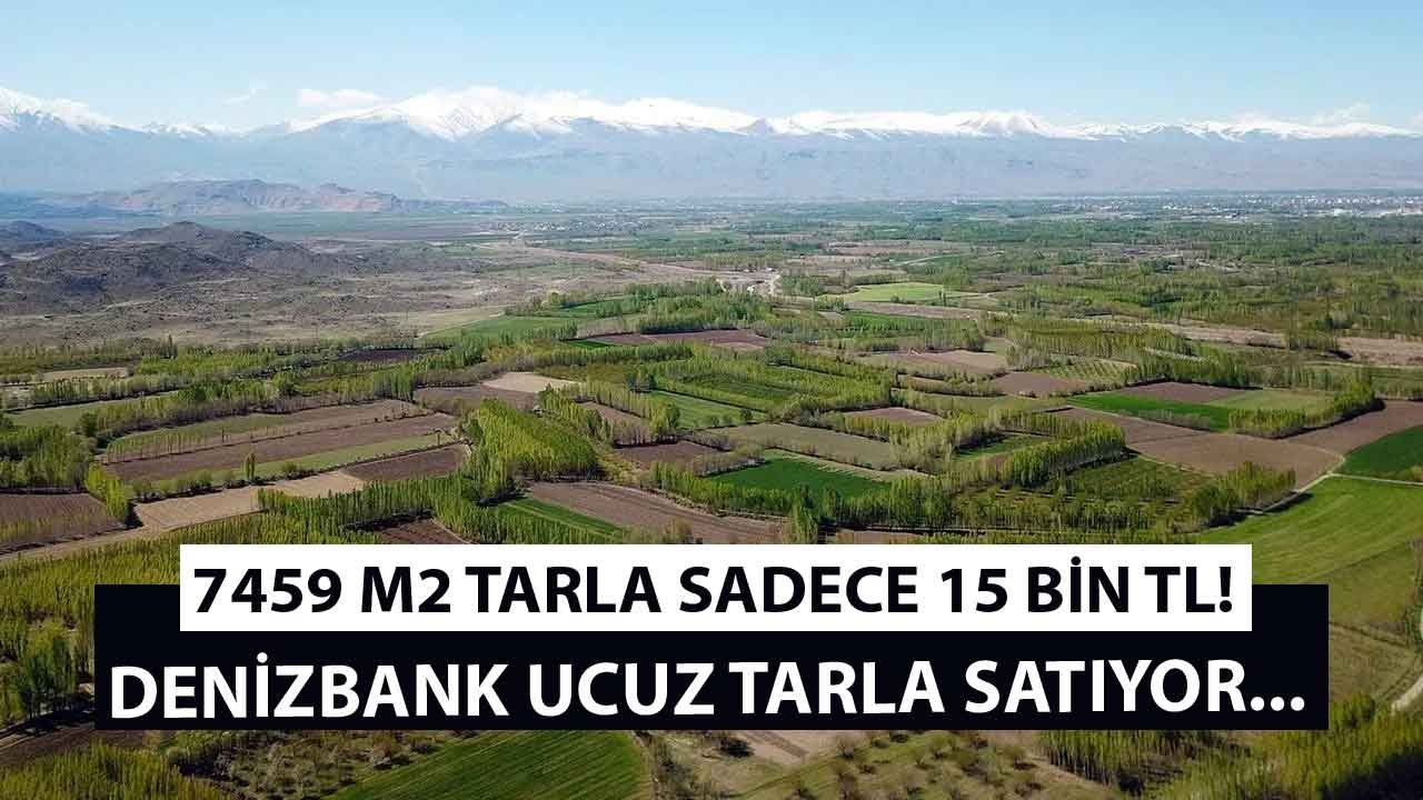 Denizbank Ucuz Tarla Satıyor! 7459 M2 Tarlanın Satış Fiyatı 15 Bin TL