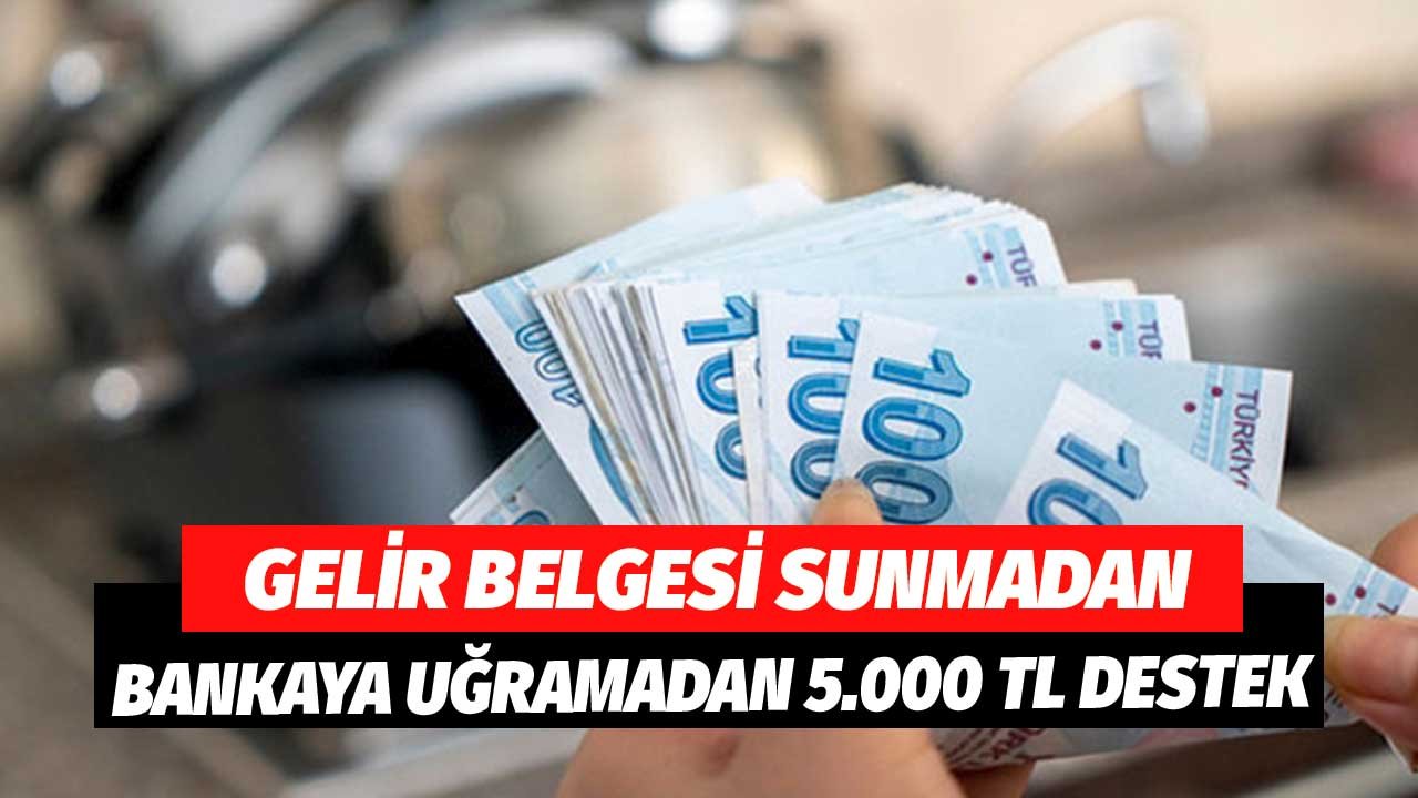 Bankaya Uğramadan, Gelir Belgesi Sunmadan 5.000 TL'nizi Hemen Alın