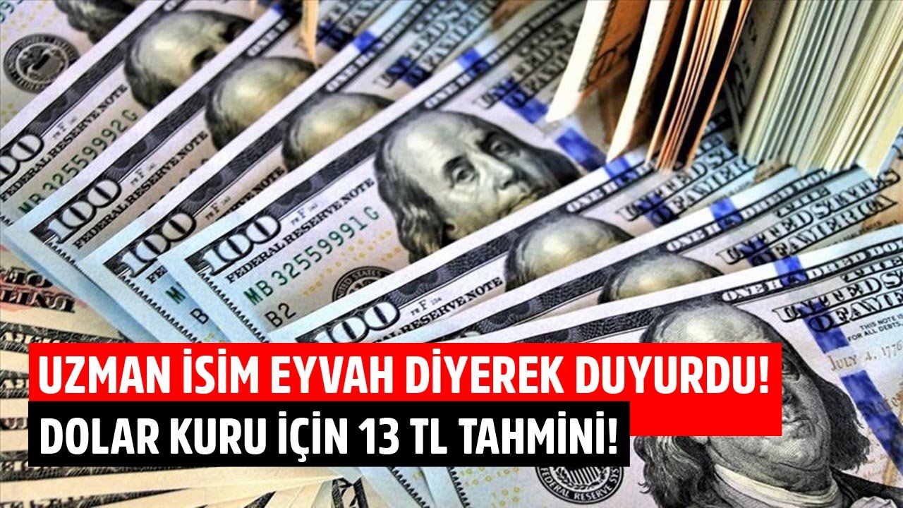 Eyvah, Darmadağın Olacağız Diyen Ekonomist Remzi Özdemir'den Dolar Kuru İçin 13 TL Tahmini!