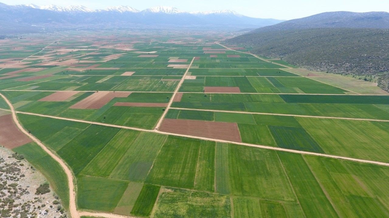 Kamulaştırılan Araziler İçin Değer Tespiti Nasıl Yapılır, Bilirkişi Raporları Nasıl Hazırlanır?