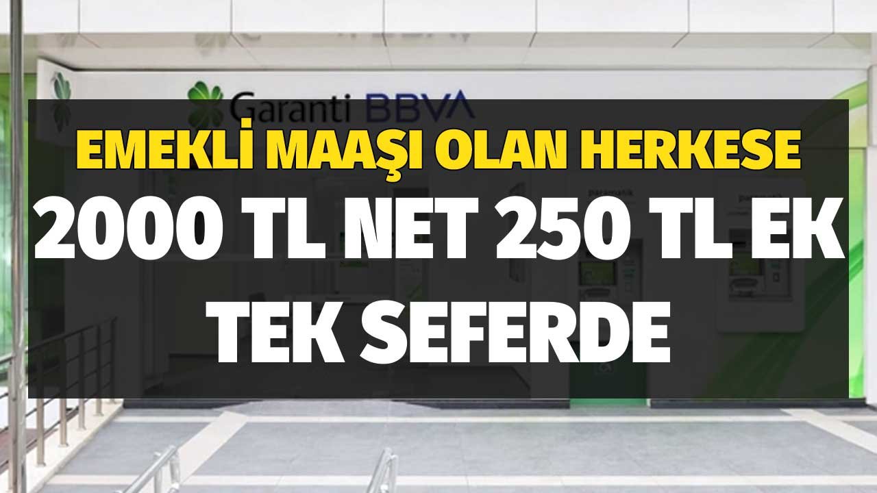 Aylık Emekli Maaşı Olan Tüm Herkese! 2000 TL Net 250 TL Ek Tek Seferde