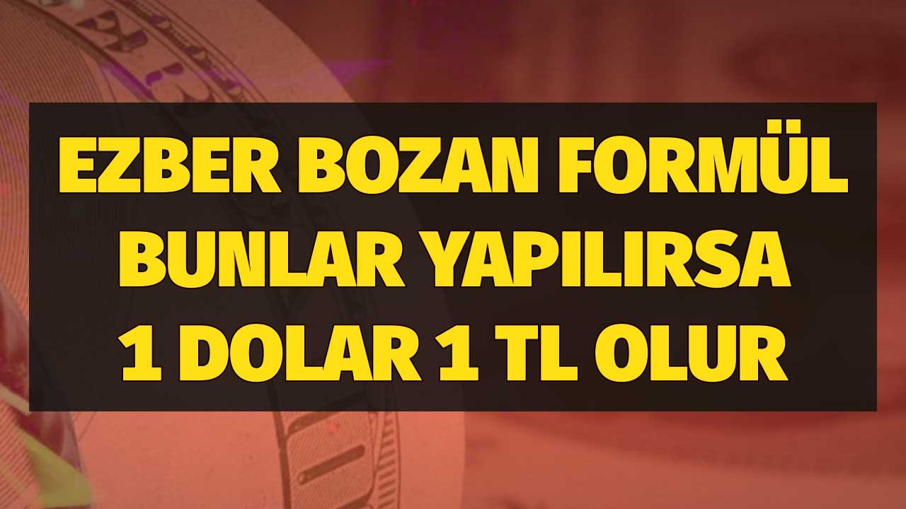 Dolar Kurunu 11 TL'den 1 TL'ye İndirecek Formülü Açıkladı! Bunları Yaparsak Olur