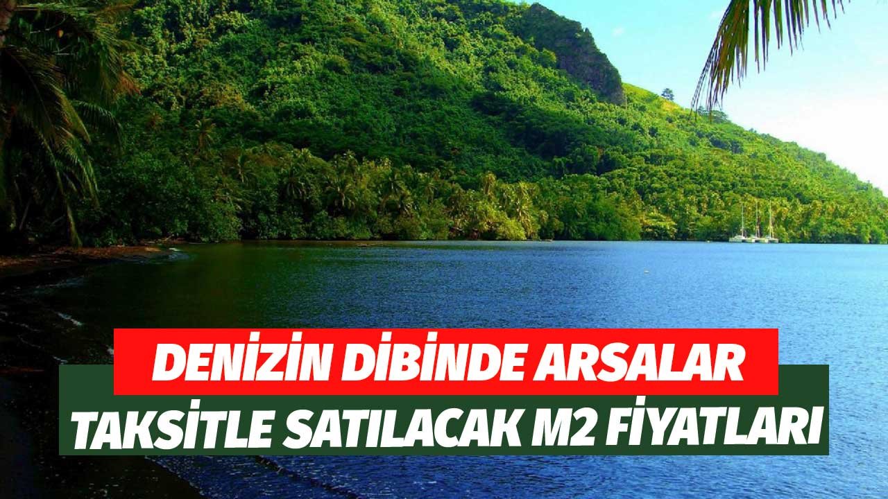 Denizin Dibindeki Hazine Arsaları Satılıyor! Yatırım Yapacaklar m2 Fiyat Tablosu