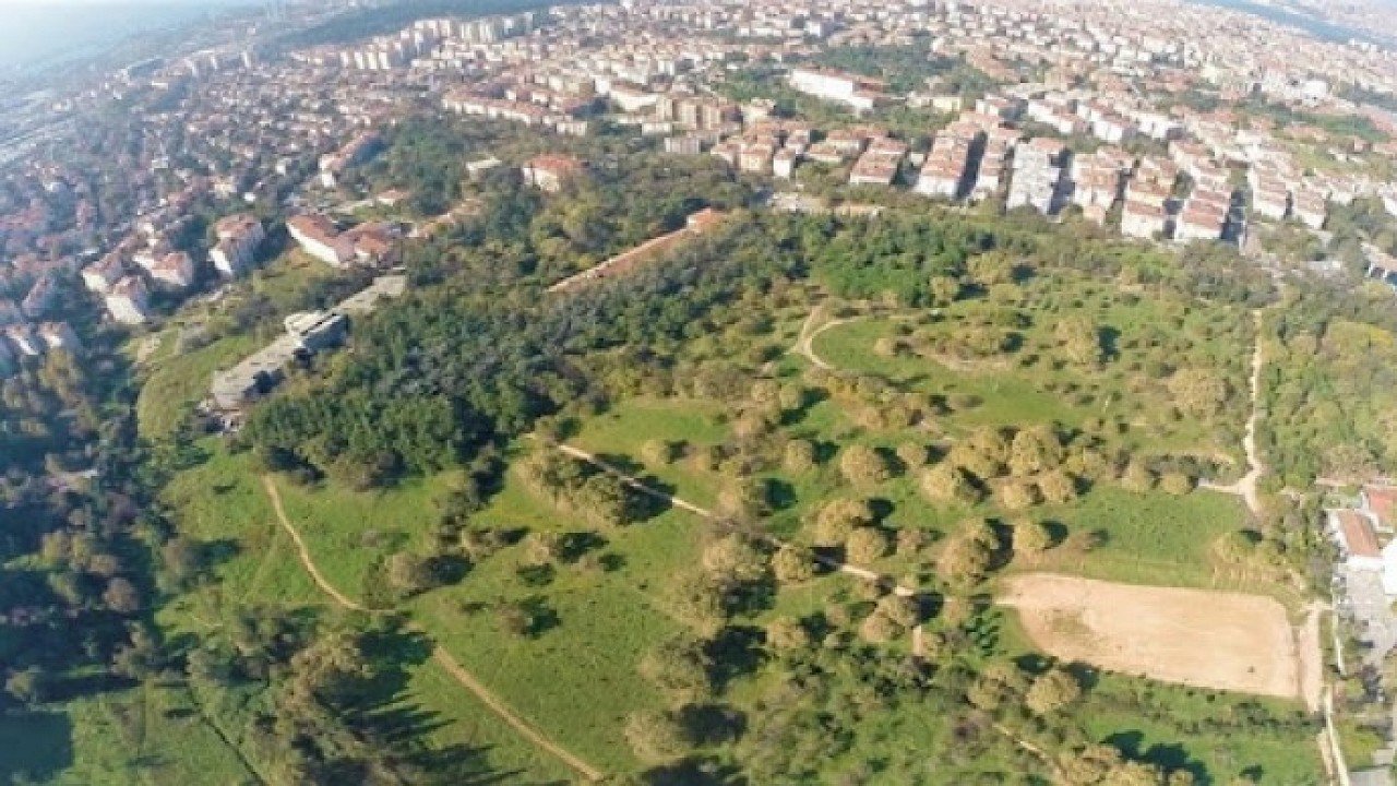 Validebağ Korusu'nda Üsküdar Belediyesi'nin Rehabilitasyon Projesi İçin Mahkemeden Karar Çıktı!