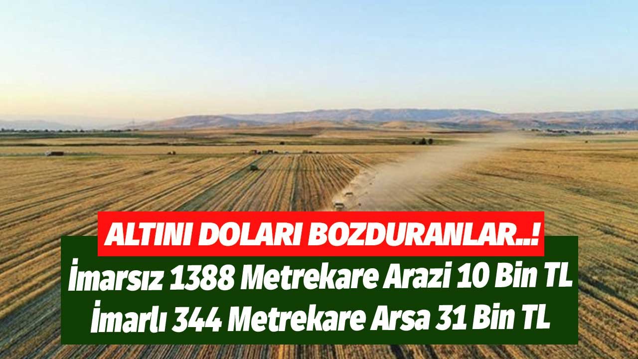 İmarsız 1388 Metrekare Arazi 10 Bin TL, İmarlı 344 Metrekare Arsa 31 Bin TL